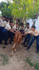 Field Trip Grade 3 to 5