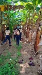 Field Trip Grade 3 to 5