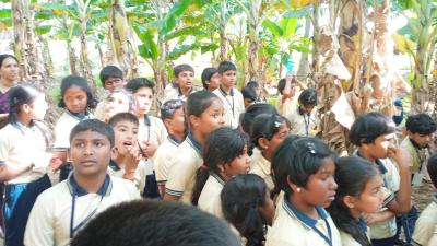 Field Trip Grade 3 to 5