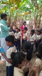 Field Trip Grade 3 to 5