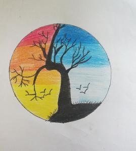 WEEKLY ACTIVITIES (MIDDLE SECTION)