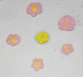 WEEKLY ACTIVITIES (PRIMARY SECTION)