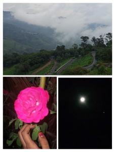 WEEKLY ACTIVITIES (PRIMARY SECTION)