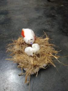 WEEKLY ACTIVITIES (MIDDLE SECTION)