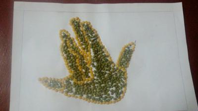 WEEKLY ACTIVITIES (MIDDLE SECTION)